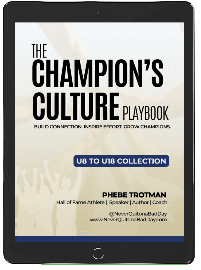 Book mockup preview showing cover design